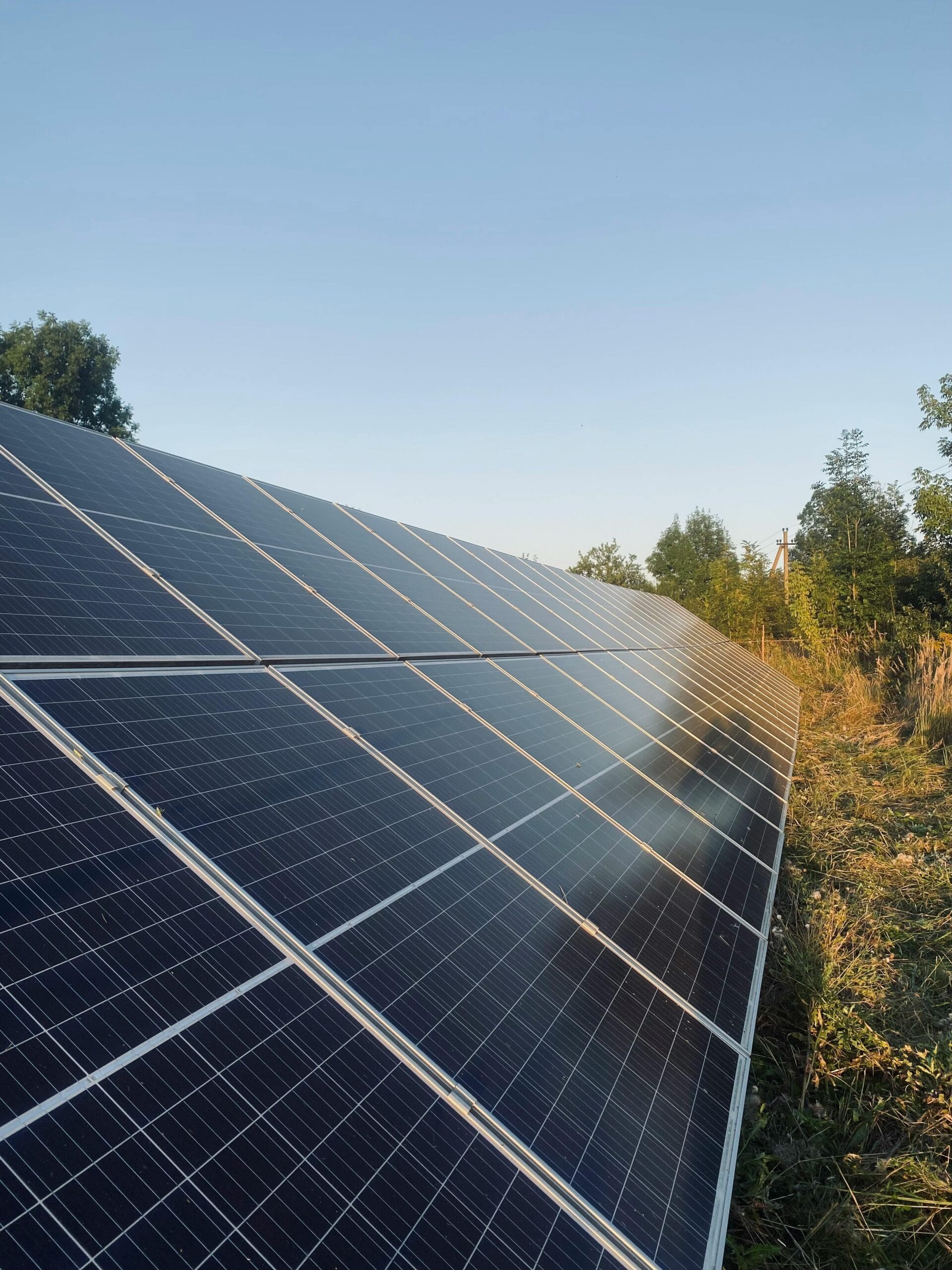 A field of solar panels harnessing sunlight for renewable energy.